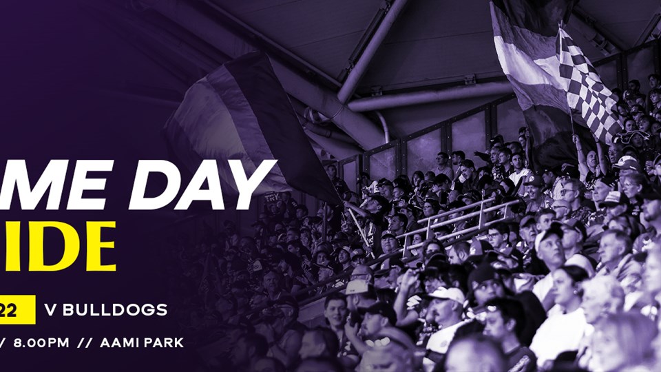Game Day Guide: Round 22 v Canterbury-Bankstown Bulldogs