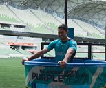 Purple Splash returns to AAMI Park